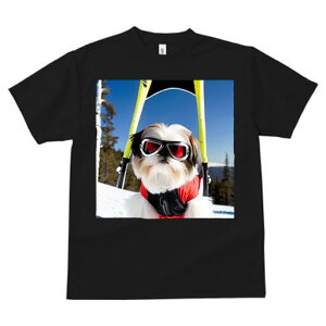 V[Y[ TVc  j[NfUCfB[X t@  t vg JWA 킢 lԗp Mtg I XL[ V[Y[ R XL[EFA S[O