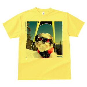 V[Y[ TVc  j[NfUCY LbY t@  t vg JWA 킢 lԗp Mtg I XL[ V[Y[ R XL[EFA S[O