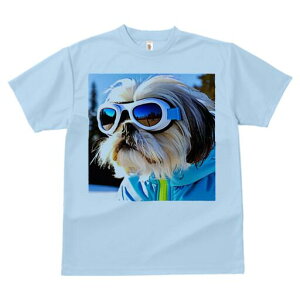 V[Y[ TVc  j[NfUCY LbY t@  t vg JWA 킢 lԗp Mtg I S[O V[Y[ XL[EFA