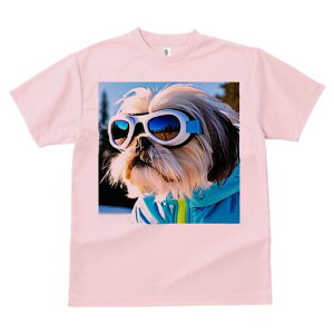 V[Y[ TVc  j[NfUCY LbY t@  t vg JWA 킢 lԗp Mtg I S[O V[Y[ XL[EFA