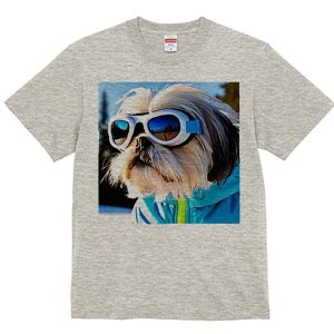 V[Y[ TVc  j[NfUCY LbY t@  t vg JWA 킢 lԗp Mtg I S[O V[Y[ XL[EFA