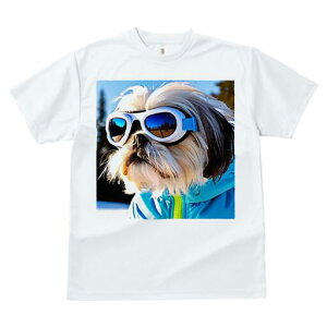 V[Y[ TVc  j[NfUCfB[X t@  t vg JWA 킢 lԗp Mtg I S[O V[Y[ XL[EFA