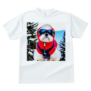 V[Y[ TVc  j[NfUCfB[X t@  t vg JWA 킢 lԗp Mtg I XL[EFA V[Y[ XL[S[O ~ R