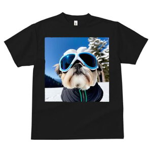 V[Y[ TVc  j[NfUCfB[X t@  t vg JWA 킢 lԗp Mtg I XL[ V[Y[ ~  XL[EFA