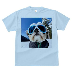 V[Y[ TVc  j[NfUCY LbY t@  t vg JWA 킢 lԗp Mtg I XL[ V[Y[ ~  XL[EFA