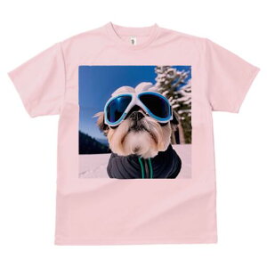 V[Y[ TVc  j[NfUCY LbY t@  t vg JWA 킢 lԗp Mtg I XL[ V[Y[ ~  XL[EFA