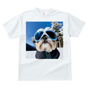 V[Y[ TVc  j[NfUCfB[X t@  t vg JWA 킢 lԗp Mtg I XL[ V[Y[ ~  XL[EFA