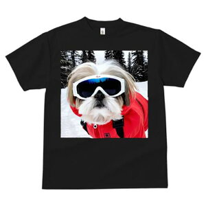 V[Y[ TVc  j[NfUCfB[X t@  t vg JWA 킢 lԗp Mtg I XL[ V[Y[ ~  XL[EFA