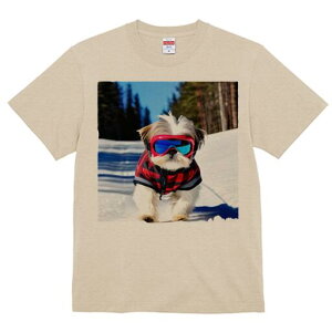 V[Y[ TVc  j[NfUCY LbY t@  t vg JWA 킢 lԗp Mtg I XL[ V[Y[ XL[EFA ~ 