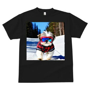 V[Y[ TVc  j[NfUCfB[X t@  t vg JWA 킢 lԗp Mtg I XL[ V[Y[ XL[EFA ~ 