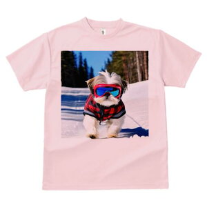 V[Y[ TVc  j[NfUCY LbY t@  t vg JWA 킢 lԗp Mtg I XL[ V[Y[ XL[EFA ~ 