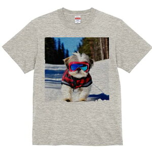 V[Y[ TVc  j[NfUCY LbY t@  t vg JWA 킢 lԗp Mtg I XL[ V[Y[ XL[EFA ~ 