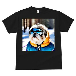 V[Y[ TVc  j[NfUCfB[X t@  t vg JWA 킢 lԗp Mtg I XL[EFA V[Y[ XL[S[O  ~