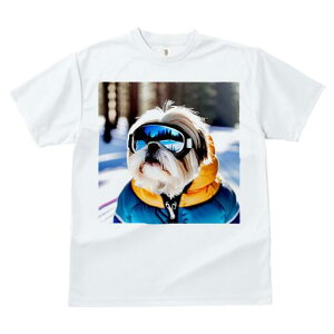 V[Y[ TVc  j[NfUCfB[X t@  t vg JWA 킢 lԗp Mtg I XL[EFA V[Y[ XL[S[O  ~