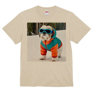 V[Y[ TVc  j[NfUCY LbY t@  t vg JWA 킢 lԗp Mtg I XL[EFA V[Y[ S[O 