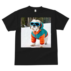 V[Y[ TVc  j[NfUCfB[X t@  t vg JWA 킢 lԗp Mtg I XL[EFA V[Y[ S[O 