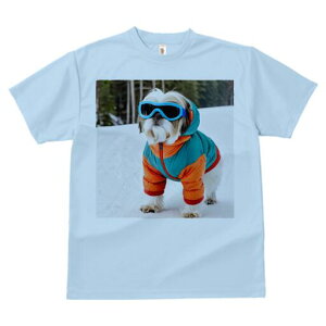 V[Y[ TVc  j[NfUCY LbY t@  t vg JWA 킢 lԗp Mtg I XL[EFA V[Y[ S[O 