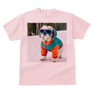 V[Y[ TVc  j[NfUCY LbY t@  t vg JWA 킢 lԗp Mtg I XL[EFA V[Y[ S[O 