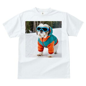 V[Y[ TVc  j[NfUCfB[X t@  t vg JWA 킢 lԗp Mtg I XL[EFA V[Y[ S[O 