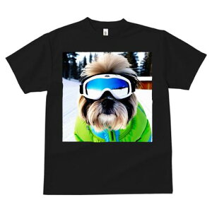 V[Y[ TVc  j[NfUCfB[X t@  t vg JWA 킢 lԗp Mtg I XL[ V[Y[ XL[EFA S[O R