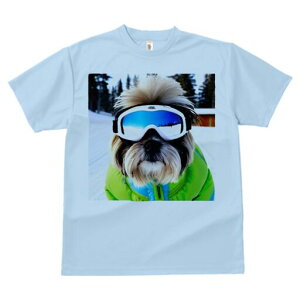 V[Y[ TVc  j[NfUCY LbY t@  t vg JWA 킢 lԗp Mtg I XL[ V[Y[ XL[EFA S[O R