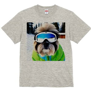 V[Y[ TVc  j[NfUCY LbY t@  t vg JWA 킢 lԗp Mtg I XL[ V[Y[ XL[EFA S[O R