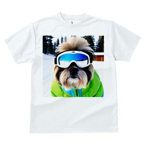 V[Y[ TVc  j[NfUCfB[X t@  t vg JWA 킢 lԗp Mtg I XL[ V[Y[ XL[EFA S[O R