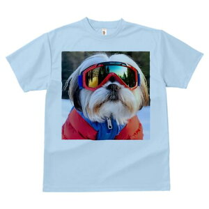 V[Y[ TVc  j[NfUCY LbY t@  t vg JWA 킢 lԗp Mtg I XL[EFA V[Y[ XL[S[O