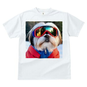 V[Y[ TVc  j[NfUCfB[X t@  t vg JWA 킢 lԗp Mtg I XL[EFA V[Y[ XL[S[O