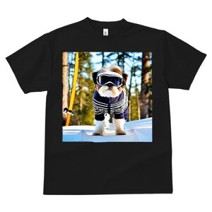 V[Y[ TVc  j[NfUCY LbY t@  t vg JWA 킢 lԗp Mtg I XL[ V[Y[  ~ XL[EFA