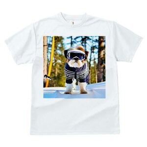 V[Y[ TVc  j[NfUCfB[X t@  t vg JWA 킢 lԗp Mtg I XL[ V[Y[  ~ XL[EFA