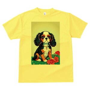 LoA TVc  j[NfUCY LbY t@  t vg JWA 킢 lԗp Mtg I  LoA lbNX