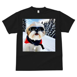 V[Y[ TVc  j[NfUCfB[X t@  t vg JWA 킢 lԗp Mtg I XL[ V[Y[ ~  XL[EFA