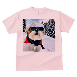 V[Y[ TVc  j[NfUCY LbY t@  t vg JWA 킢 lԗp Mtg I XL[ V[Y[ ~  XL[EFA