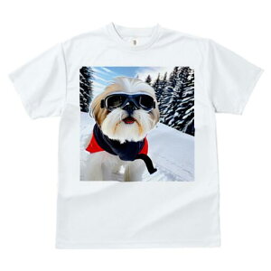 V[Y[ TVc  j[NfUCfB[X t@  t vg JWA 킢 lԗp Mtg I XL[ V[Y[ ~  XL[EFA