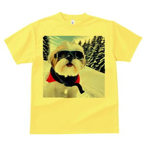 V[Y[ TVc  j[NfUCY LbY t@  t vg JWA 킢 lԗp Mtg I XL[ V[Y[ ~  XL[EFA