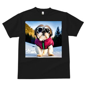 V[Y[ TVc  j[NfUCfB[X t@  t vg JWA 킢 lԗp Mtg I  V[Y[ ~ XL[EFA R