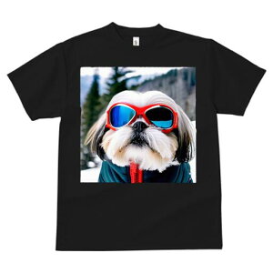 V[Y[ TVc  j[NfUCfB[X t@  t vg JWA 킢 lԗp Mtg I TOX V[Y[ XL[EFA R