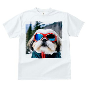 V[Y[ TVc  j[NfUCY LbY t@  t vg JWA 킢 lԗp Mtg I TOX V[Y[ XL[EFA R