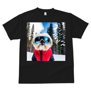 V[Y[ TVc  j[NfUCfB[X t@  t vg JWA 킢 lԗp Mtg I XL[ V[Y[ ~  XL[EFA