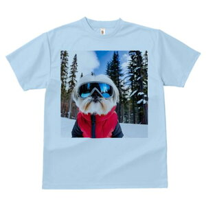 V[Y[ TVc  j[NfUCY LbY t@  t vg JWA 킢 lԗp Mtg I XL[ V[Y[ ~  XL[EFA