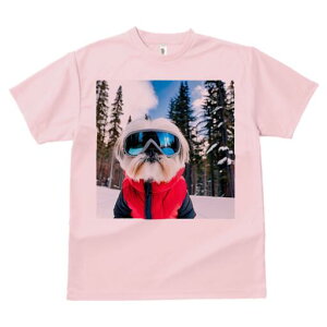 V[Y[ TVc  j[NfUCY LbY t@  t vg JWA 킢 lԗp Mtg I XL[ V[Y[ ~  XL[EFA