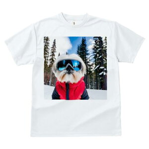 V[Y[ TVc  j[NfUCfB[X t@  t vg JWA 킢 lԗp Mtg I XL[ V[Y[ ~  XL[EFA