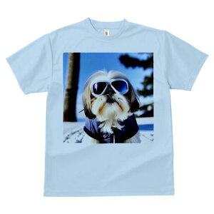 V[Y[ TVc  j[NfUCY LbY t@  t vg JWA 킢 lԗp Mtg I TOX V[Y[  ~ XL[EFA