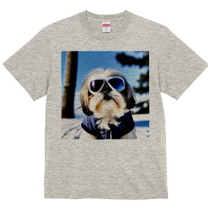 V[Y[ TVc  j[NfUCY LbY t@  t vg JWA 킢 lԗp Mtg I TOX V[Y[  ~ XL[EFA