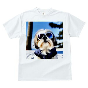 V[Y[ TVc  j[NfUCfB[X t@  t vg JWA 킢 lԗp Mtg I TOX V[Y[  ~ XL[EFA