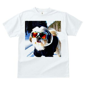 V[Y[ TVc  j[NfUCfB[X t@  t vg JWA 킢 lԗp Mtg I XL[ V[Y[  ~ XL[EFA