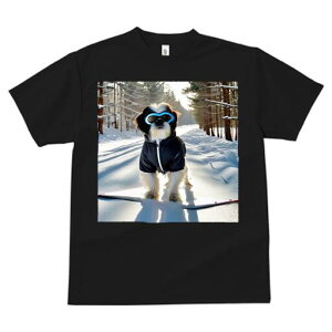 V[Y[ TVc  j[NfUCfB[X t@  t vg JWA 킢 lԗp Mtg I  V[Y[ ~ XL[EFA Xm[{[h