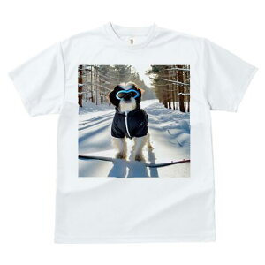 V[Y[ TVc  j[NfUCY LbY t@  t vg JWA 킢 lԗp Mtg I  V[Y[ ~ XL[EFA Xm[{[h