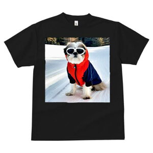 V[Y[ TVc  j[NfUCfB[X t@  t vg JWA 킢 lԗp Mtg I XL[EFA V[Y[ 